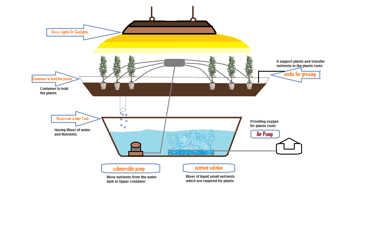 What is Hydroponics? Advantages & Disadvantages of Hydroponics