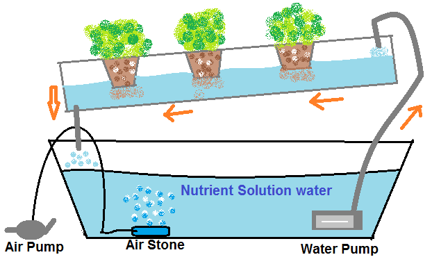 Type of DIY Hydroponic Systems and their Growing Media