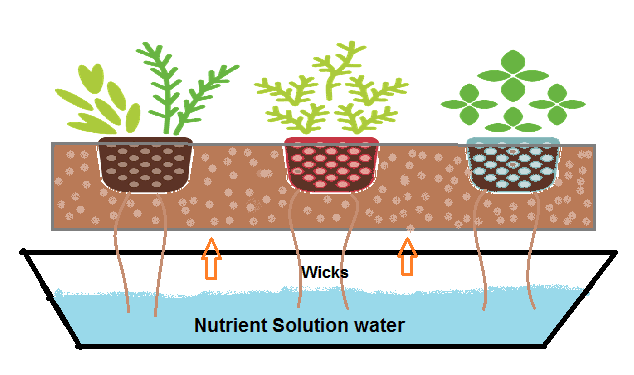 Type of DIY Hydroponic Systems and their Growing Media