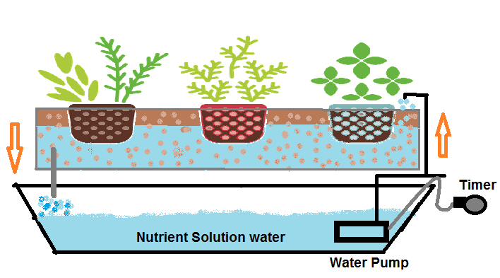 Type of DIY Hydroponic Systems and their Growing Media