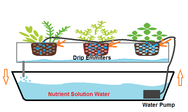 Type of DIY Hydroponic Systems and their Growing Media