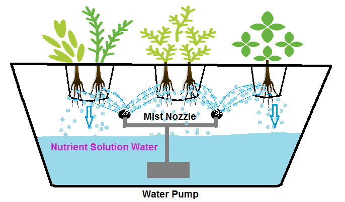 Type of DIY Hydroponic Systems and their Growing Media