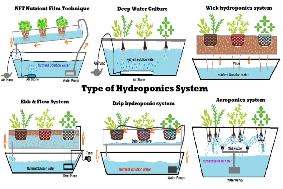 6 Type Of Diy Hydroponic Systems And Their Growing Media