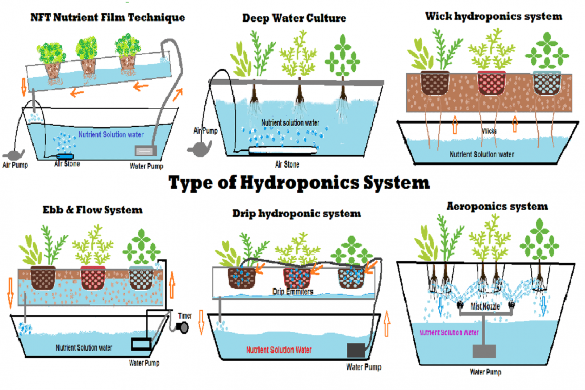 Type Of Diy Hydroponic Systems And Their Growing Media