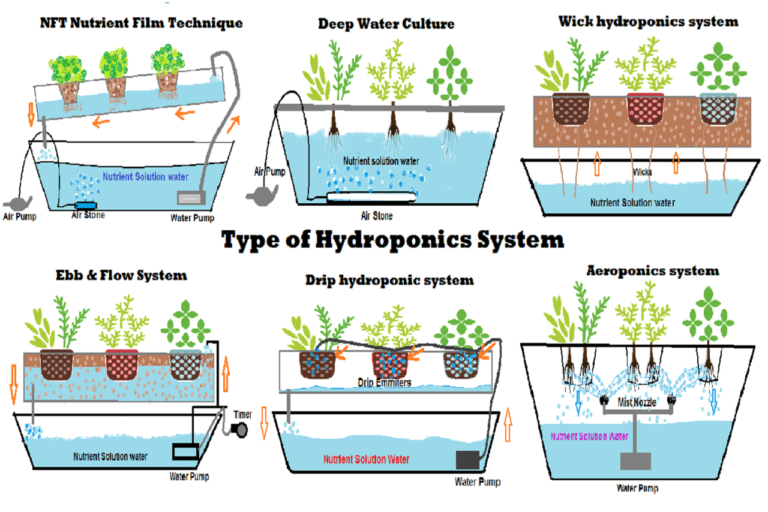 Type of DIY Hydroponic Systems and their Growing Media