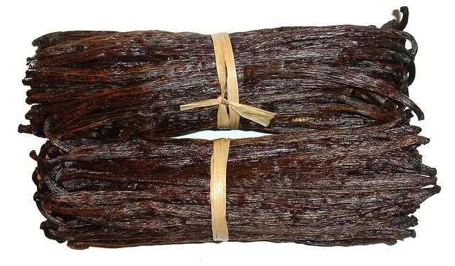 Vanilla Orchid,Cultivation, Information with Income
