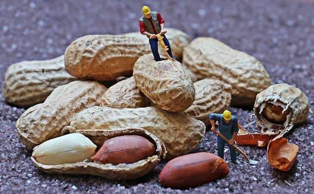 Groundnut - Best 10 Benefits & Side Effects of Eating Peanut