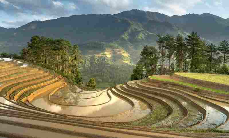 Awesome Terrace farming Around the World | terracing