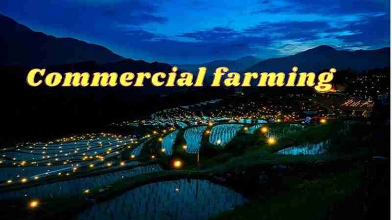 What is commercial farming | Subsistence farming