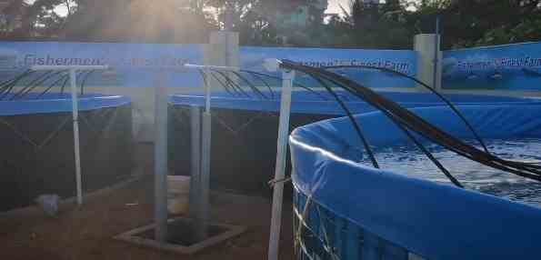 11 easy steps biofloc fish farming of shrimp,tilapia