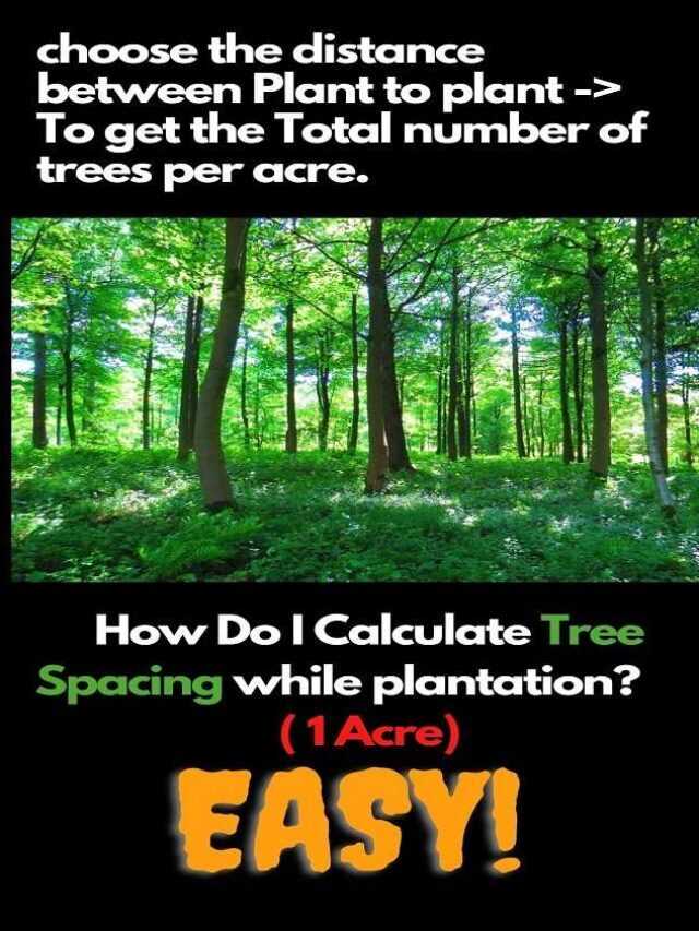 How Do I Calculate Tree Spacing while plantation? ( 1 Acre)