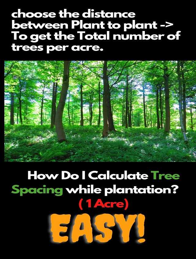 Tree Spacing Calculator Trees Per Acre Calculator With Imag