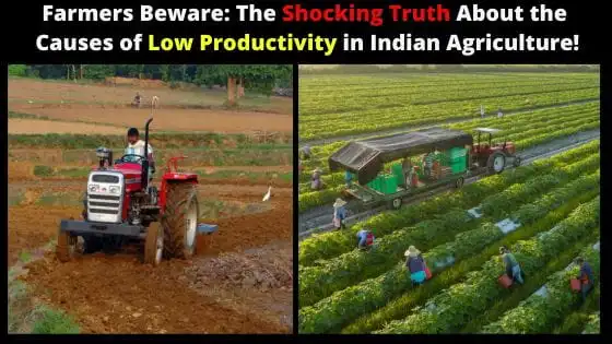 causes of low productivity in indian agriculture, causes for low productivity in agriculture, causes of low productivity in agriculture, low productivity in agriculture,
